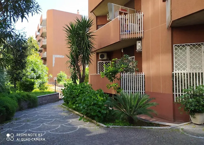 Marco'S House